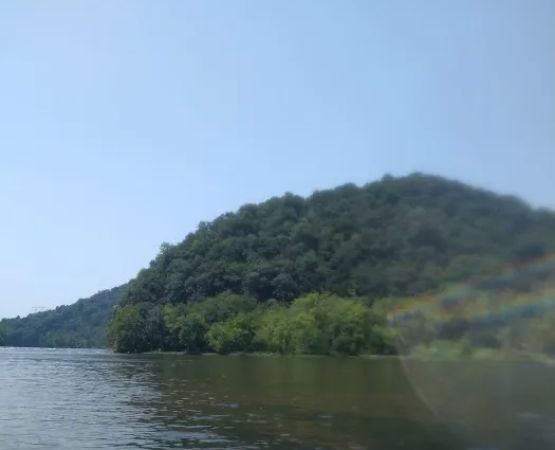 River Junction Campground and Canoeing