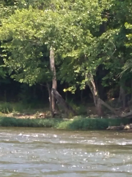 River Junction Campground and Canoeing 5