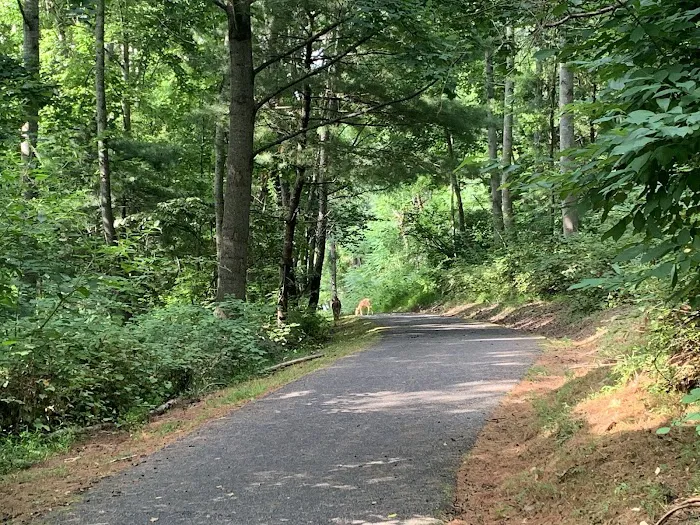 Claytor Lake State Park Campground1 3