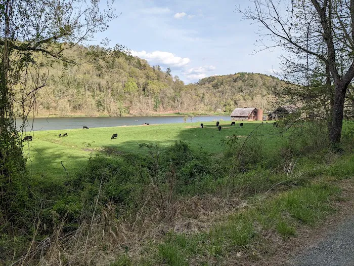 Double Shoals Campground 8