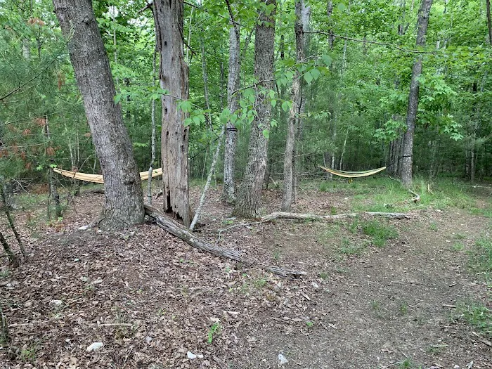 Camp Creek at Little River Farm 6