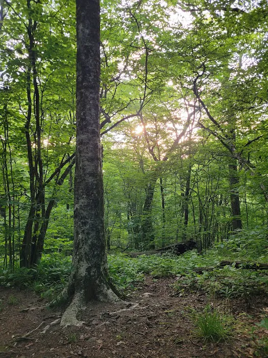 Cold Spring Shelter 2