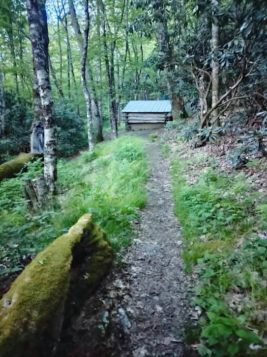 Cold Spring Shelter 3