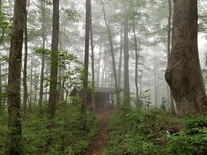 Brown Fork Gap Shelter 1