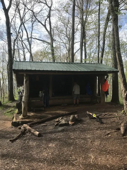 Brown Fork Gap Shelter 5