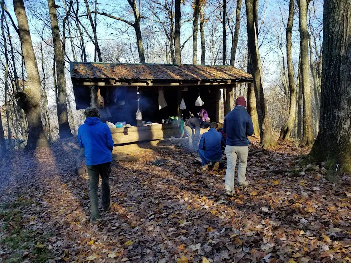 Brown Fork Gap Shelter 4