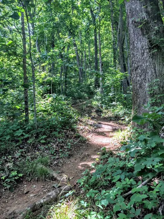 Brown Fork Gap Shelter 9