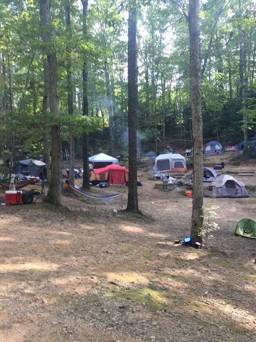 Camp Reggae 2