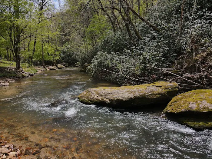 Stoney Fork Campground 8