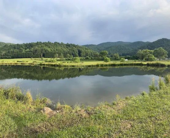 Blue Ridge Ranch
