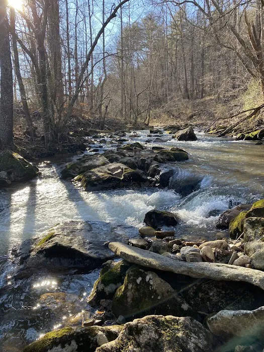 Blue Ridge Ranch 5