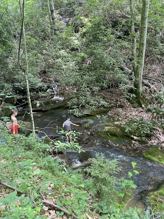 Blue Ridge Ranch 8