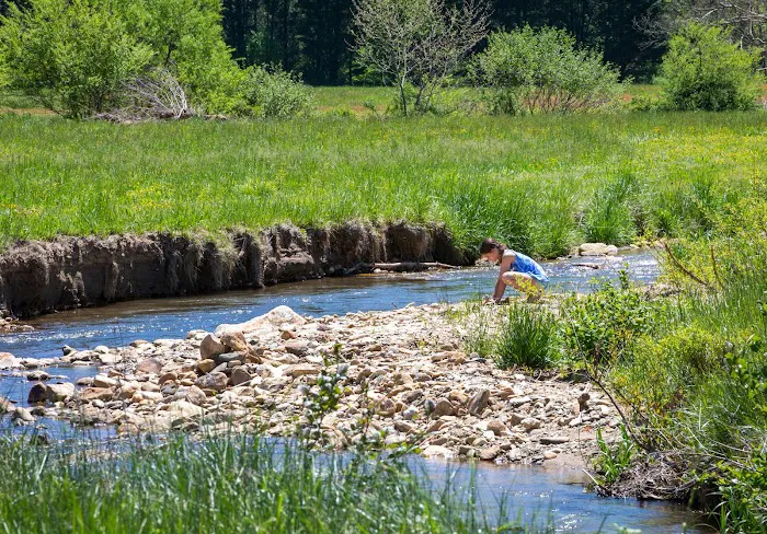 Blue Ridge Ranch 4