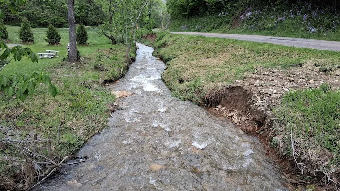 Drake's Creek Campground near Boone 8