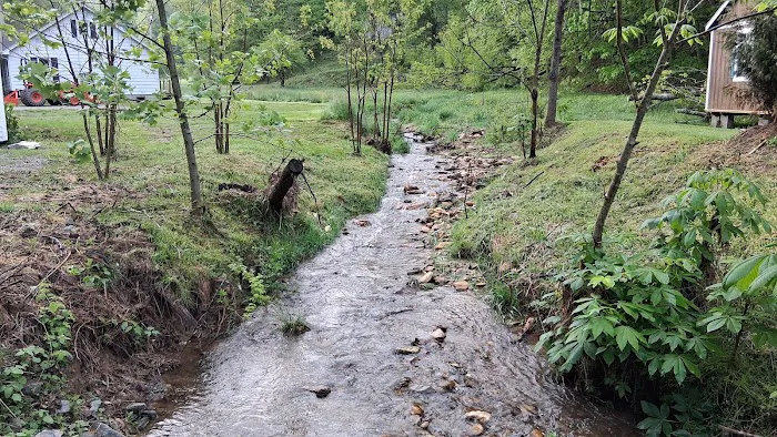 Drake's Creek Campground near Boone 4