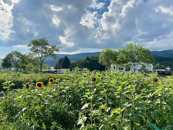 Doe Valley Campground 9