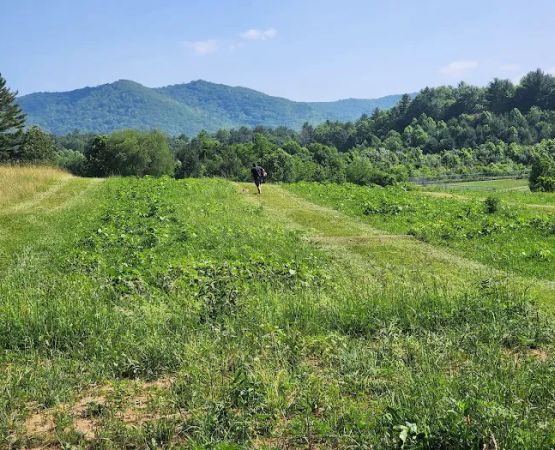 Doe Valley Campground