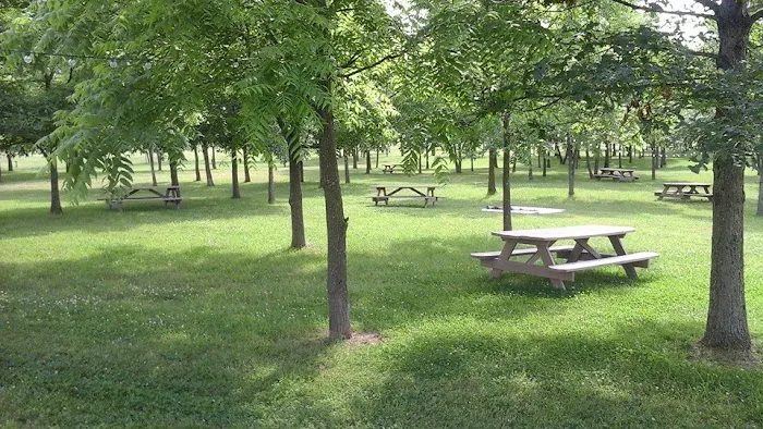 Miles Landing Campground 8