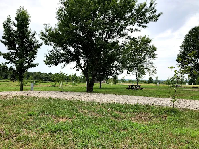 Miles Landing Campground 4