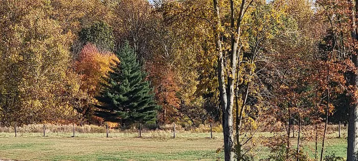 Hudsonville Family Campground 3