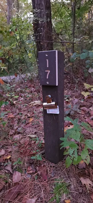German Ridge Campground 5