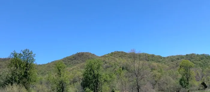 Hurricane Creek Primitive Campground 0