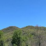 Hurricane Creek Primitive Campground