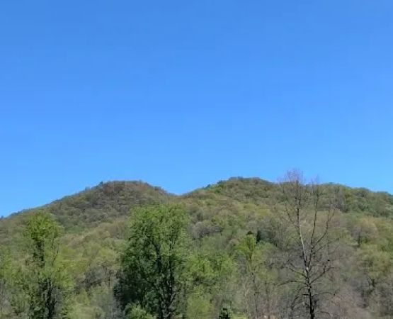 Hurricane Creek Primitive Campground
