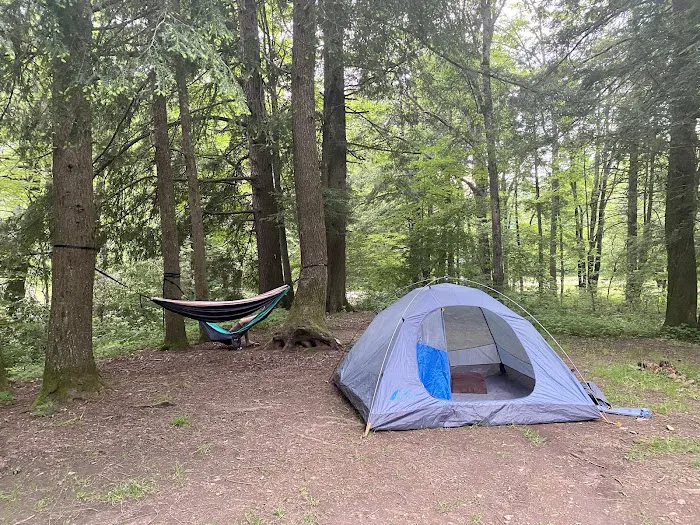 Hurricane Creek Primitive Campground 7