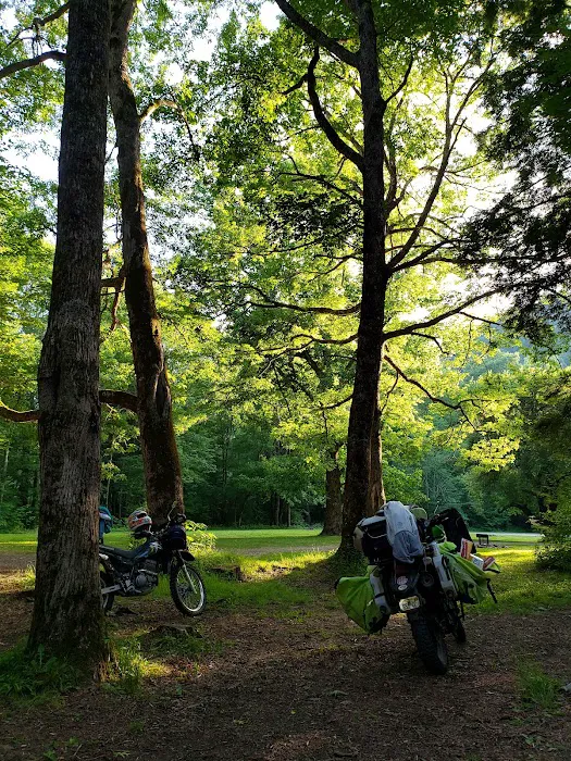 Hurricane Creek Primitive Campground 3
