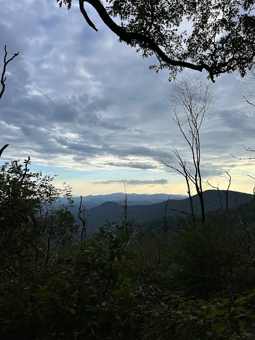 Carter Gap Shelter 0