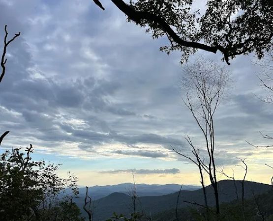 Carter Gap Shelter