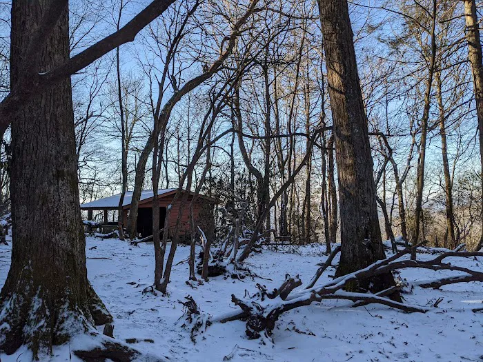 Carter Gap Shelter 4