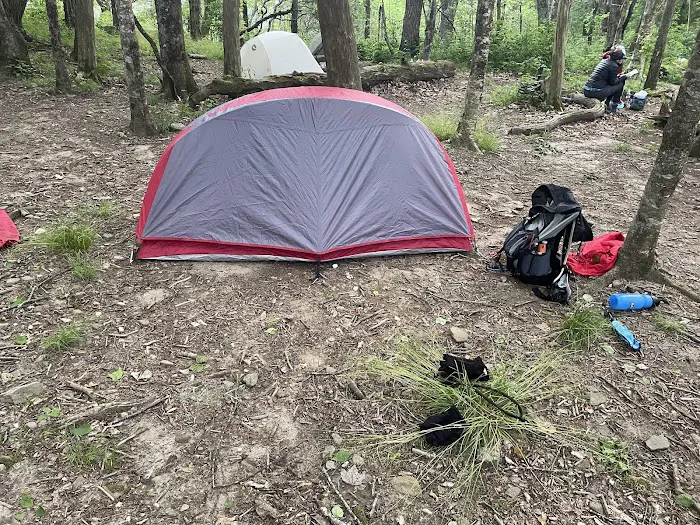 Carter Gap Shelter 9