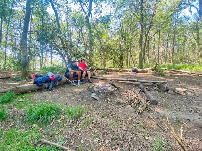 Carter Gap Shelter 5
