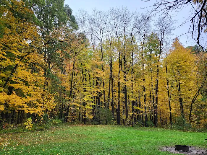 Mt. Gilead State Park Campground 8