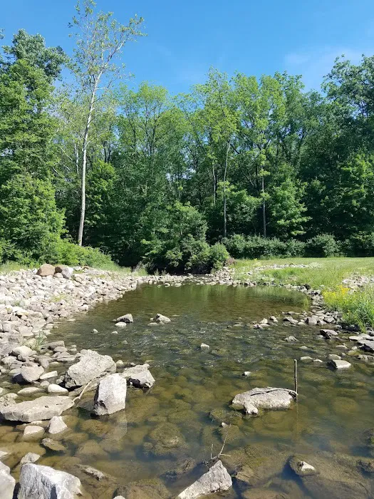 Mt. Gilead State Park Campground 5