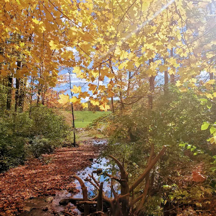 Mt. Gilead State Park Campground 9