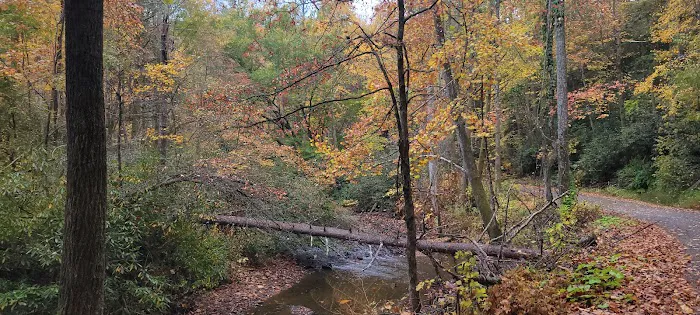 Tumbling Creek Campground 2