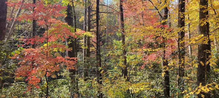 Tumbling Creek Campground 5