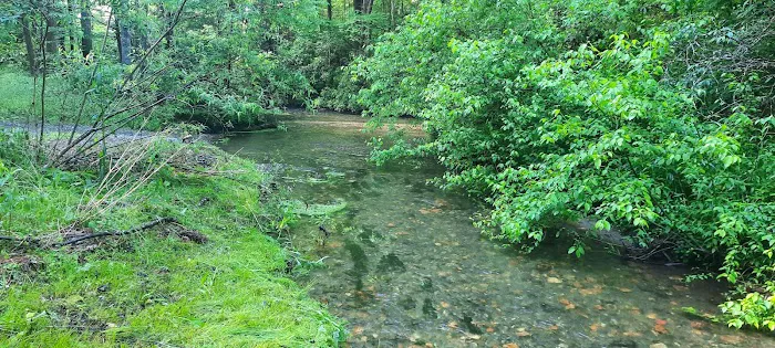 Harkins Creek 1