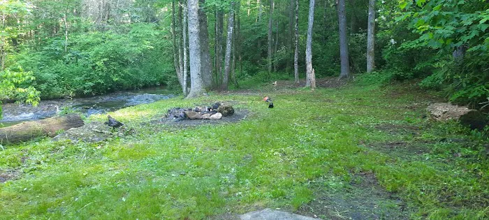 Harkins Creek 0