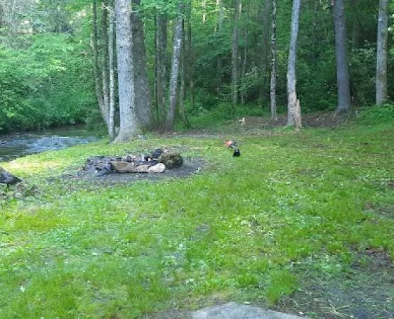 Harkins Creek