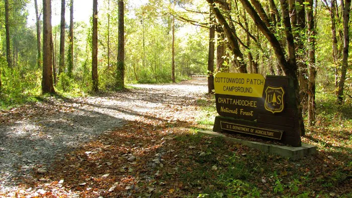 Cottonwood Patch Campground (Horse Camp) 4