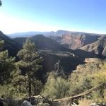 Salt Bank Campground