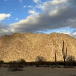 Margie's Cove West Campground