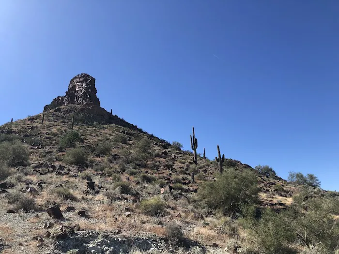 Saddle Mountain BLM Dispersed Camping 0