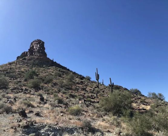 Saddle Mountain BLM Dispersed Camping