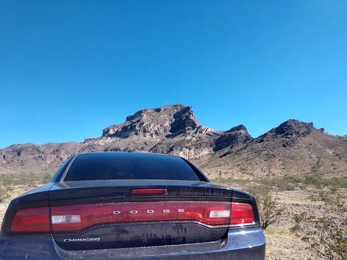 Saddle Mountain BLM Dispersed Camping 6