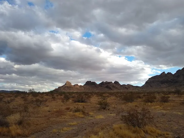 Saddle Mountain BLM Dispersed Camping 3